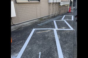 ウイステリア（Ｗｉｓｔｅｒｉａ）