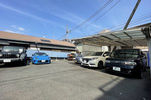現地写真2